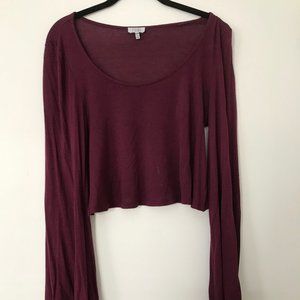 Long Sleeved Crop Top with Boho Sleeves